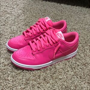 Nike Dunk Women's Hyper Pink Shoes